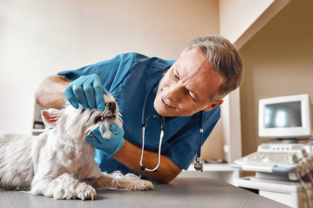 Best Emergency Dental Surgery in Nuevo, CA