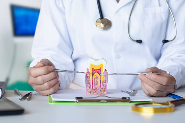 Best Urgent Dental Care in Nuevo, CA